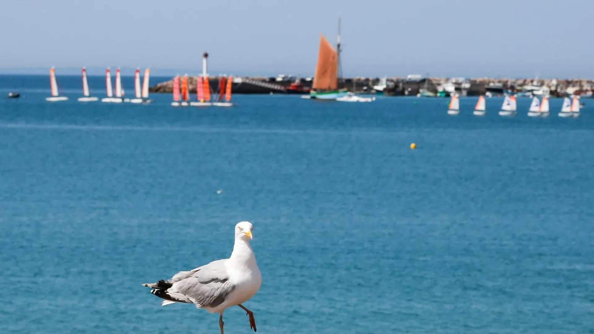 Lejlighed 25M De La Plage, Vue Mer, Appartement Pour 4 Erquy